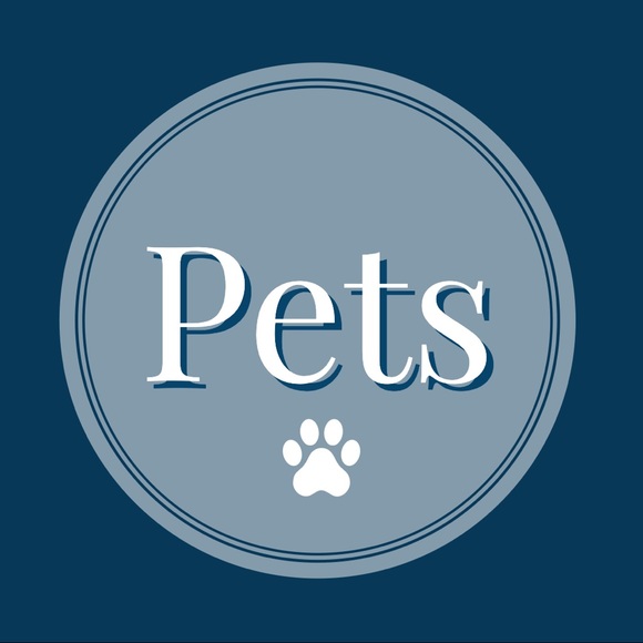 Posh Pets - Picture 1 of 1